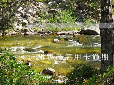 广州农商信用卡逾期 广州农商信用卡逾期