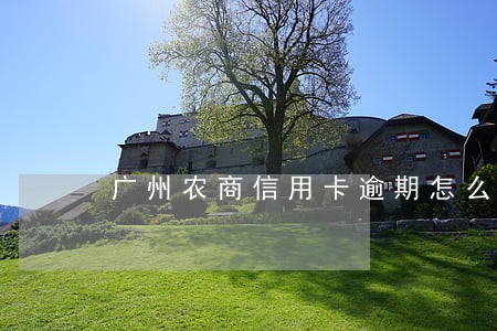 广州农商信用卡逾期怎么协调