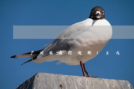 广州农商行逾期12天 广州农商行逾期12天