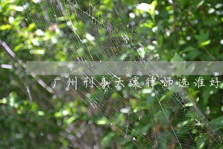 广州刑事大案律师选谁好收费合理