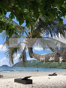 广州刑事律师专业 广州刑事律师专业