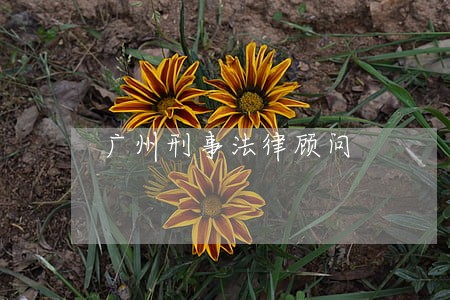 广州刑事法律顾问 广州刑事法律顾问