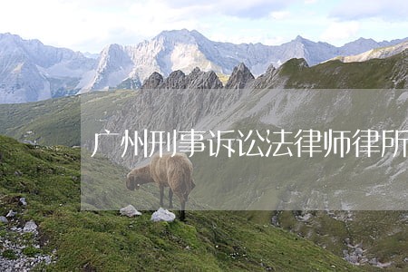 广州刑事诉讼法律师律所微信咨询 广州刑事诉讼法律师律所微信咨询