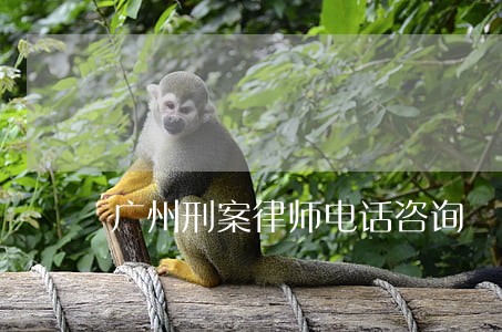 广州刑案律师电话咨询 广州刑案律师电话咨询