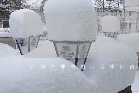 广州办理离婚诉讼律师咨询电话 广州办理离婚诉讼律师咨询电话
