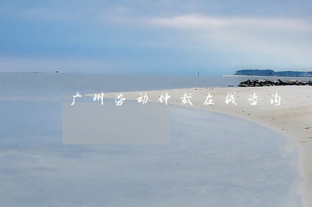 广州劳动仲裁在线咨询 广州劳动仲裁在线咨询