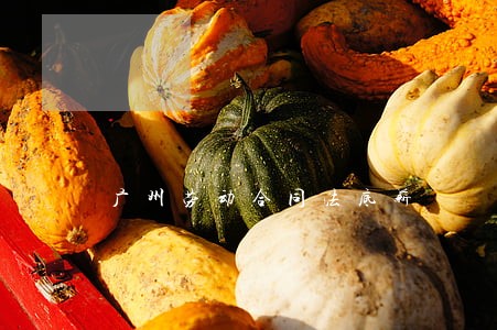 广州劳动合同法底薪 广州劳动合同法底薪