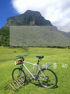 广州劳动法律咨询电话 广州劳动法律咨询电话