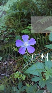 广州劳动纠纷律师事务所查询 广州劳动纠纷律师事务所查询