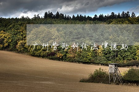 广州劳动纠纷法律援助 广州劳动纠纷法律援助