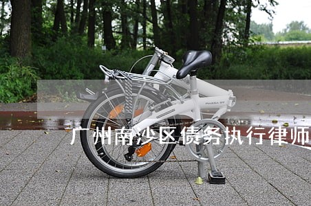 广州南沙区债务执行律师咨询 广州南沙区债务执行律师咨询