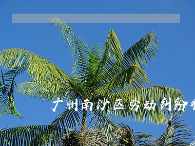 广州南沙区劳动纠纷律师 广州南沙区劳动纠纷律师