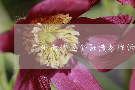 广州南沙区金融债务律师 广州南沙区金融债务律师