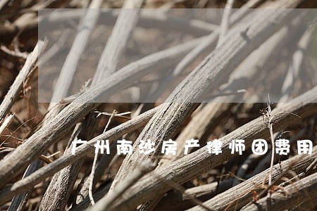 广州南沙房产律师团费用 广州南沙房产律师团费用