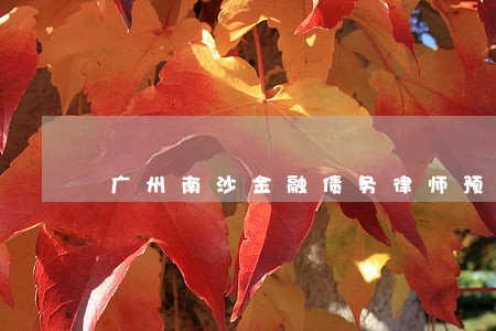 广州南沙金融债务律师预约面谈