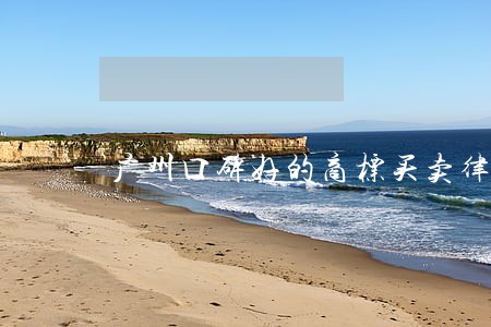 广州口碑好的商标买卖律师 广州口碑好的商标买卖律师