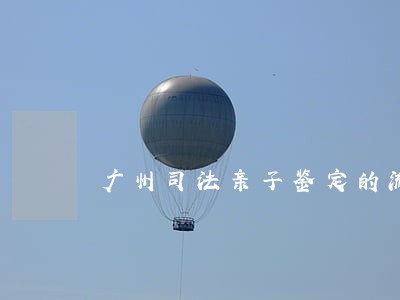 广州司法亲子鉴定的流程是怎样的 广州司法亲子鉴定的流程是怎样的