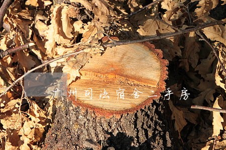 广州司法宿舍二手房 广州司法宿舍二手房