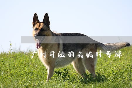 广州司法拍卖临时号牌 广州司法拍卖临时号牌