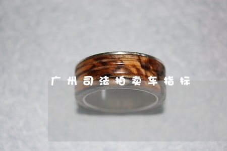 广州司法拍卖车指标
