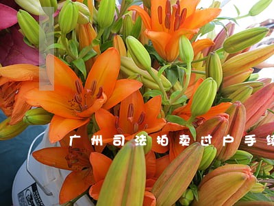 广州司法拍卖过户手续