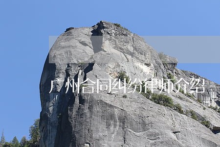 广州合同纠纷律师介绍 广州合同纠纷律师介绍