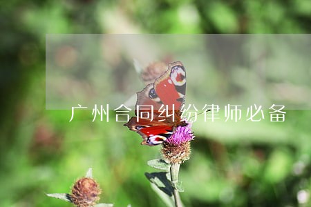 广州合同纠纷律师必备 广州合同纠纷律师必备