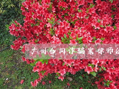 广州合同诈骗案律师法律服务 广州合同诈骗案律师法律服务