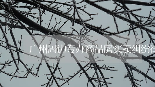 广州周边专办商品房买卖纠纷律师 广州周边专办商品房买卖纠纷律师