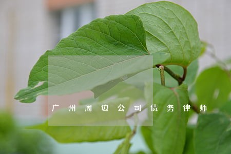 广州周边公司债务律师 广州周边公司债务律师