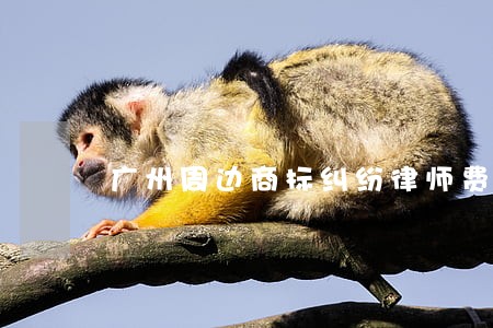 广州周边商标纠纷律师费用 广州周边商标纠纷律师费用