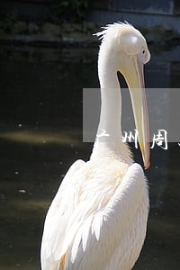 广州周边房地产律师团队 广州周边房地产律师团队