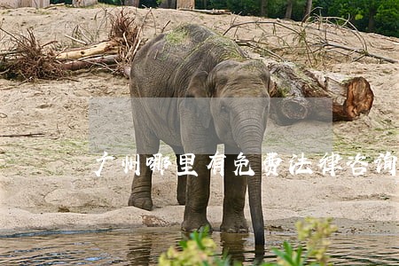 广州哪里有免费法律咨询 广州哪里有免费法律咨询