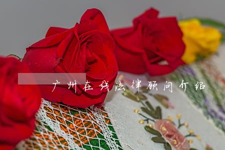 广州在线法律顾问介绍 广州在线法律顾问介绍