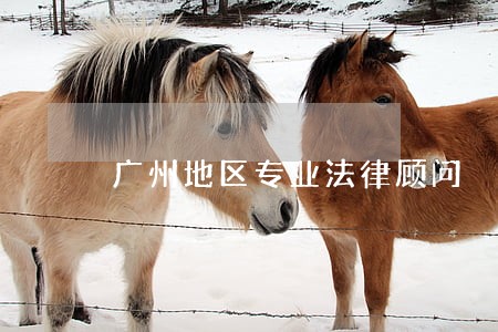 广州地区专业法律顾问 广州地区专业法律顾问
