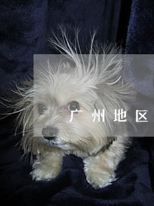 广州地区专办婚姻律师咨询电话 广州地区专办婚姻律师咨询电话