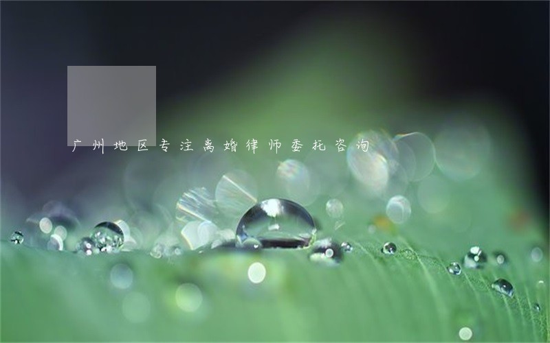 广州地区专注离婚律师委托咨询 广州地区专注离婚律师委托咨询