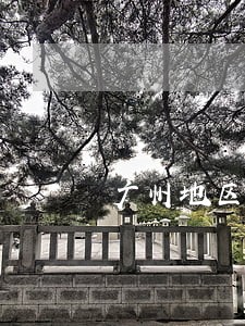 广州地区从化债务诉讼律师 广州地区从化债务诉讼律师
