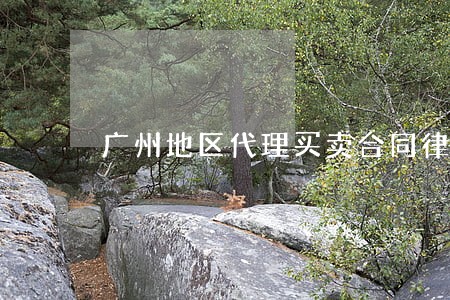广州地区代理买卖合同律师