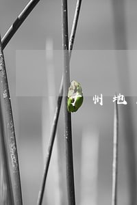 广州地区代理房产律师 广州地区代理房产律师