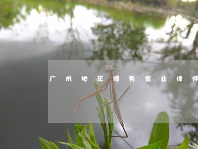 广州地区债务专业律师联系方式