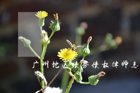 广州地区债务债权律师怎么收费