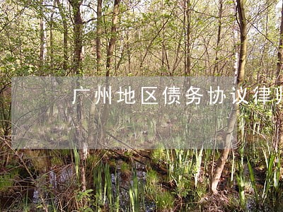 广州地区债务协议律师哪个好 广州地区债务协议律师哪个好