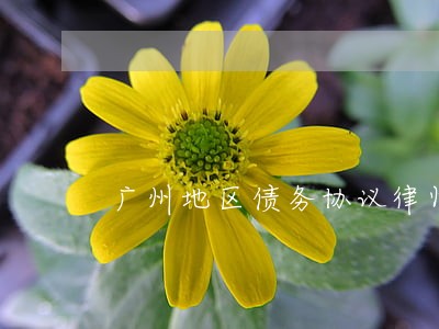 广州地区债务协议律师预约面谈 广州地区债务协议律师预约面谈