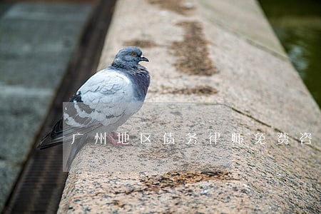 广州地区债务律师免费咨询 广州地区债务律师免费咨询