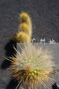 广州地区债务律师收费标准 广州地区债务律师收费标准