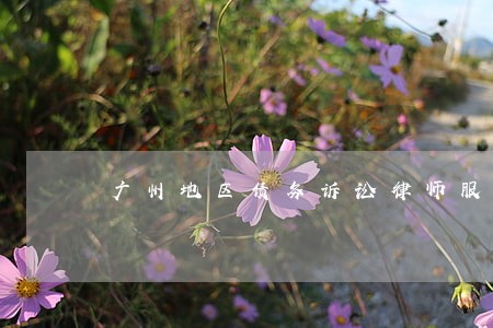 广州地区债务诉讼律师服务 广州地区债务诉讼律师服务