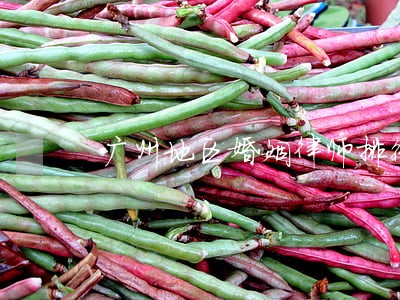 广州地区婚姻律师排行 广州地区婚姻律师排行