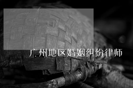 广州地区婚姻纠纷律师 广州地区婚姻纠纷律师