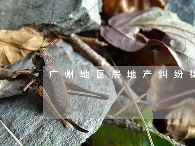 广州地区房地产纠纷律师 广州地区房地产纠纷律师